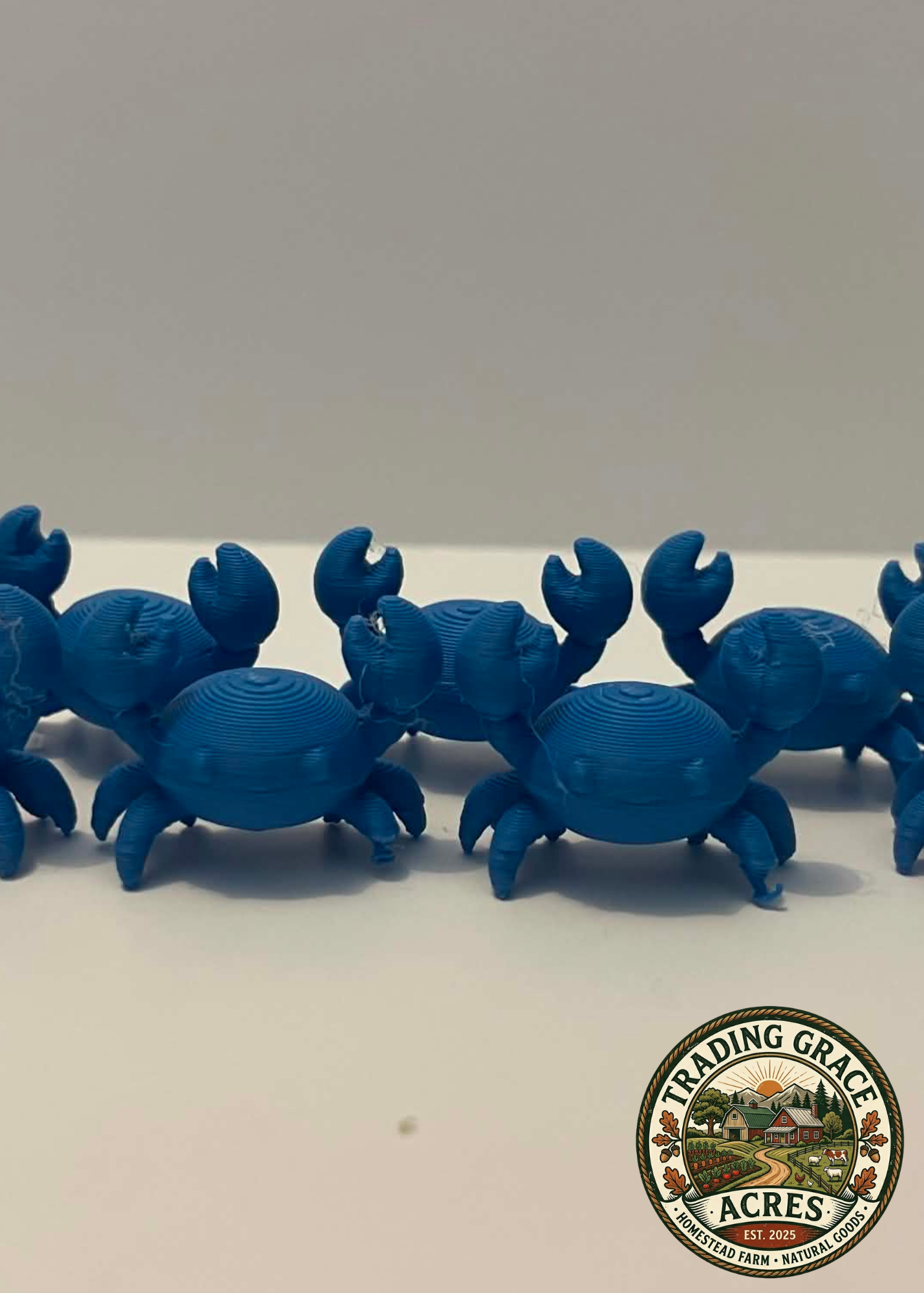 Mini Maryland Blue Crab – Articulated Fidget Toy